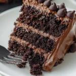 Triple chocolate cake slice with chocolate ganache and mini chocolate chips