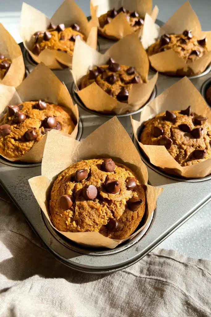 Pumpkin muffins with chocolate chips in a tin, fresh from the oven