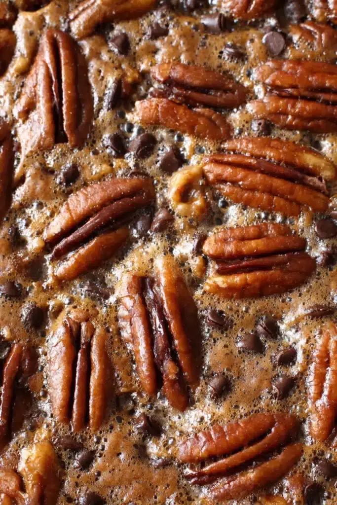 Fudgy Pecan Pie – Irresistibly Rich & Easy 13 Close-up of fudgy pecan pie with toasted pecans and chocolate chips