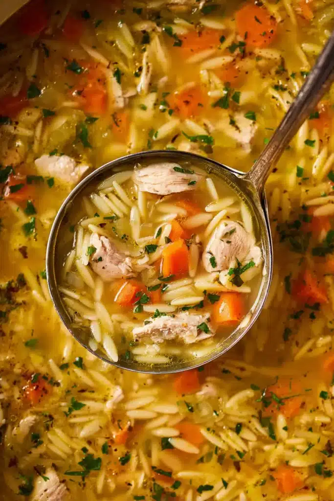 Close-up ladle of lemon chicken orzo soup with chicken, carrots, and herbs