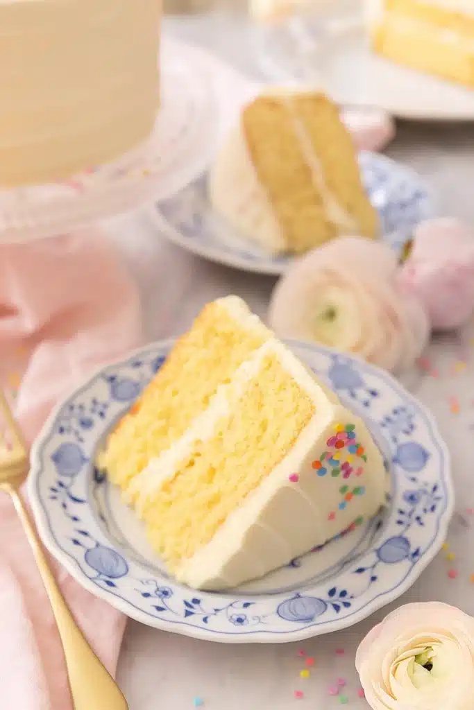Vanilla Cake Recipe | Simple, Fluffy & Amazing Dessert 7 Vanilla cake recipe slice with buttercream frosting and colorful sprinkles on a floral plate