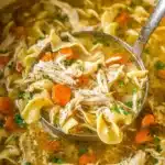 Ladle lifting easy chicken noodle soup with egg noodles and carrots