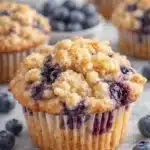 Quick Blueberry Muffins with Crumble Topping
