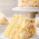 Slice of coconut custard cake topped with toasted coconut flakes on a white plate