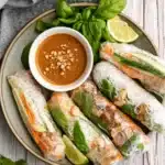 Vietnamese summer rolls with peanut sauce, fresh herbs, and vegetables on a plate