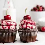 Black Forest cupcakes with cherry topping and chocolate base on light background