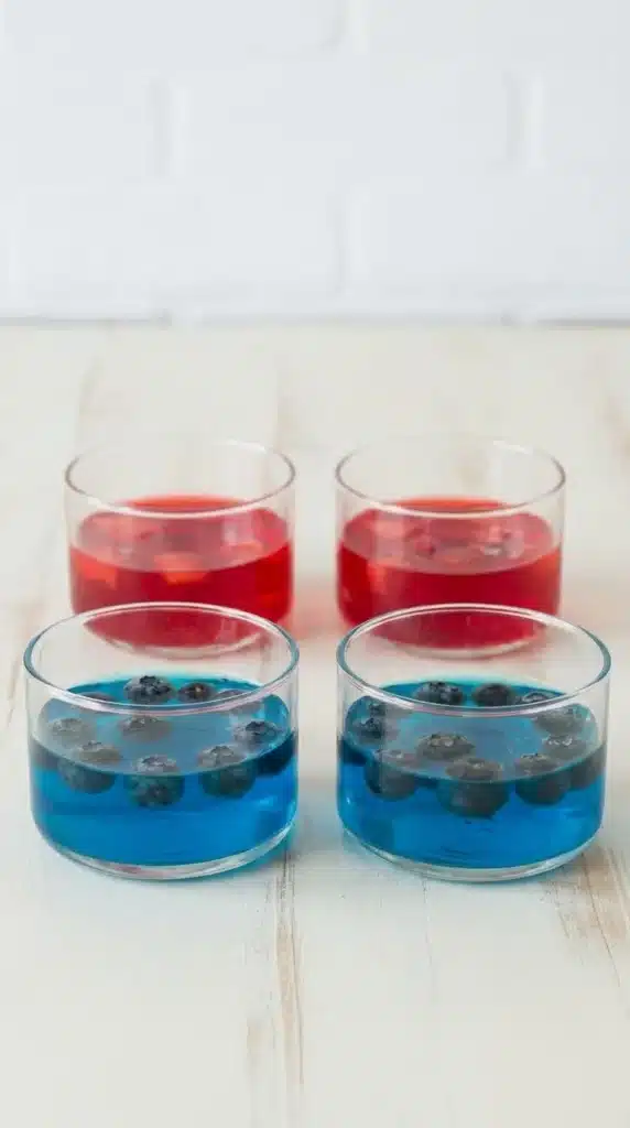 4th of July Fruit & Jello Cups with red and blue gelatin layers