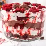 Vampire Halloween Trifle Amazing Spooky Party Treat 7 Vampire Halloween Trifle with red velvet cake, chocolate pudding, whipped cream, and spooky blood syrup