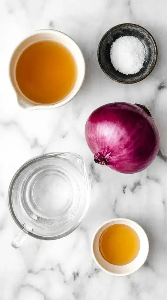 Quick Pickled Red Onions ingredients with red onion, vinegar, honey, salt, and hot water