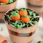 Pumpkin Dirt Cups Recipe : Amazing Easy Thanksgiving Treat 9 Pumpkin Dirt Cups with chocolate pudding, Oreo crumbs, green coconut, and candy pumpkins